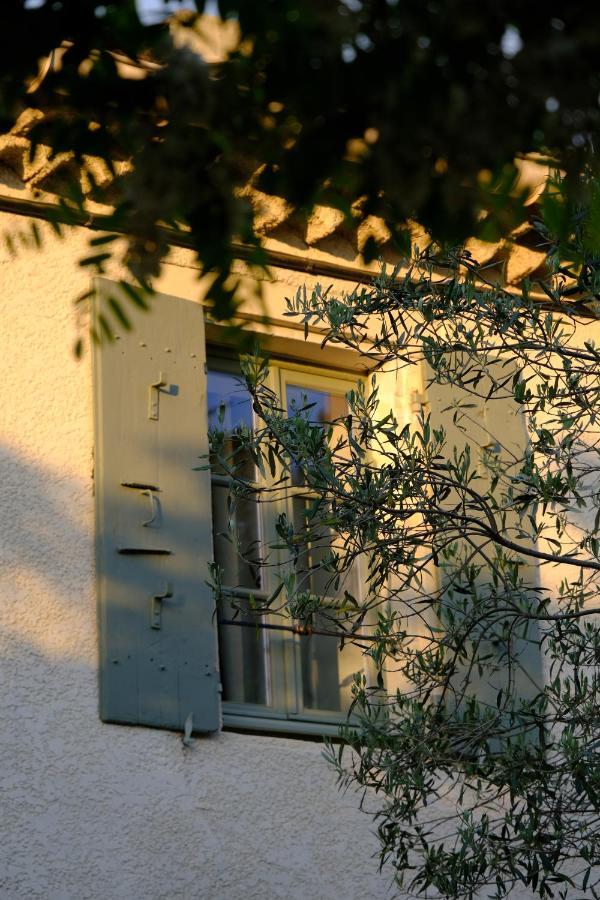 シャントメルル・レ・グリニャン ドメーヌ ル ボワ デ ダム Bed & Breakfast エクステリア 写真